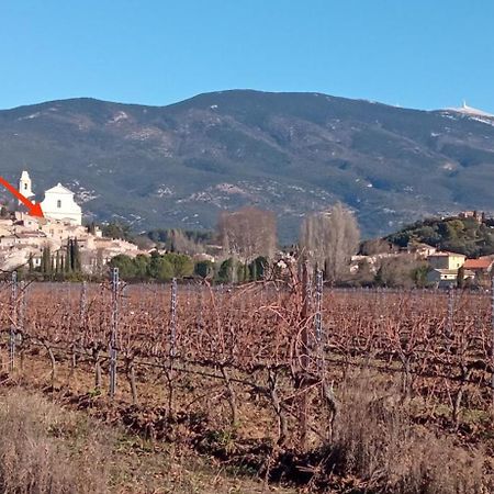 Studio Tout Confort En Provence Mont Ventoux. Bédoin Dış mekan fotoğraf