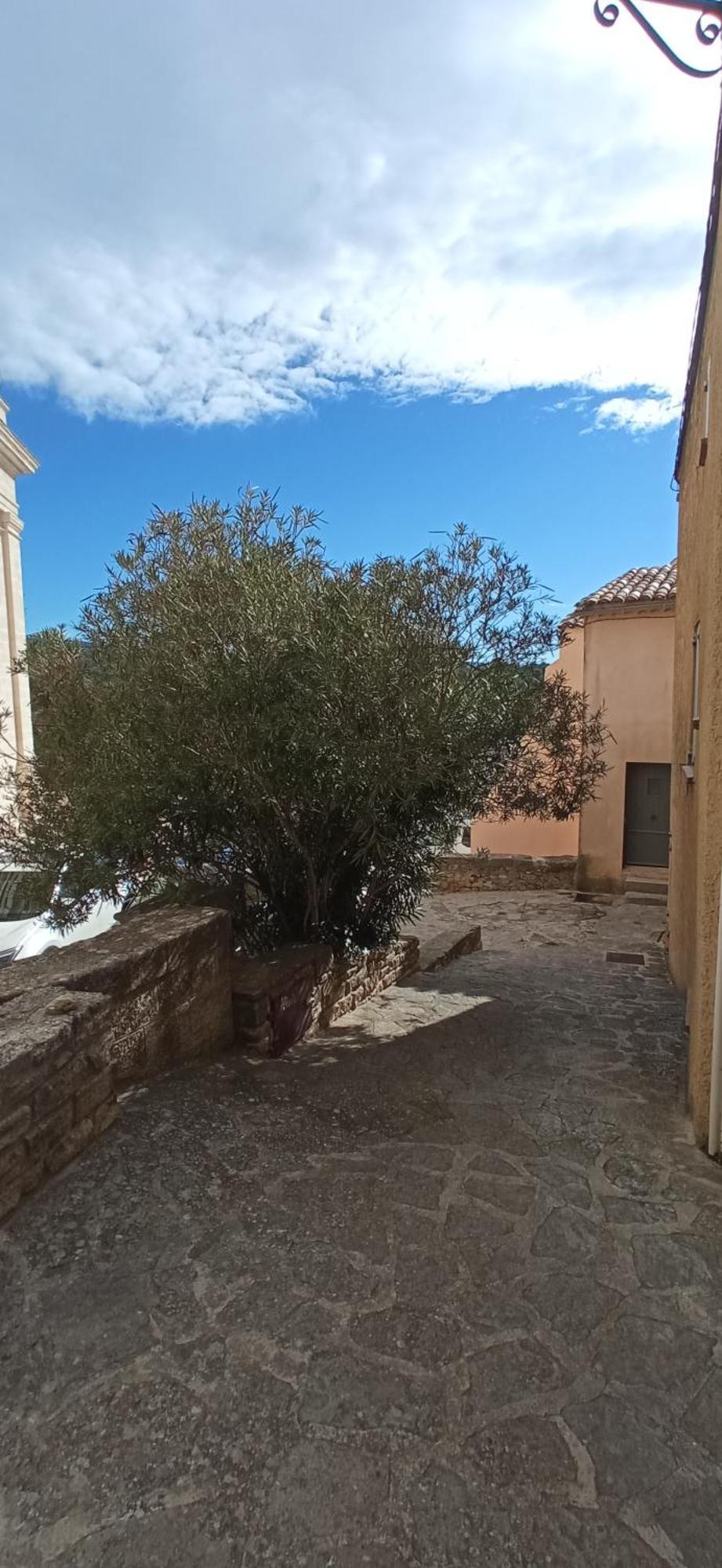 Studio Tout Confort En Provence Mont Ventoux. Bédoin Dış mekan fotoğraf