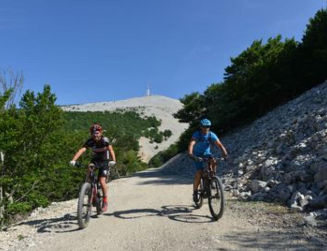 Studio Tout Confort En Provence Mont Ventoux. Bédoin Dış mekan fotoğraf