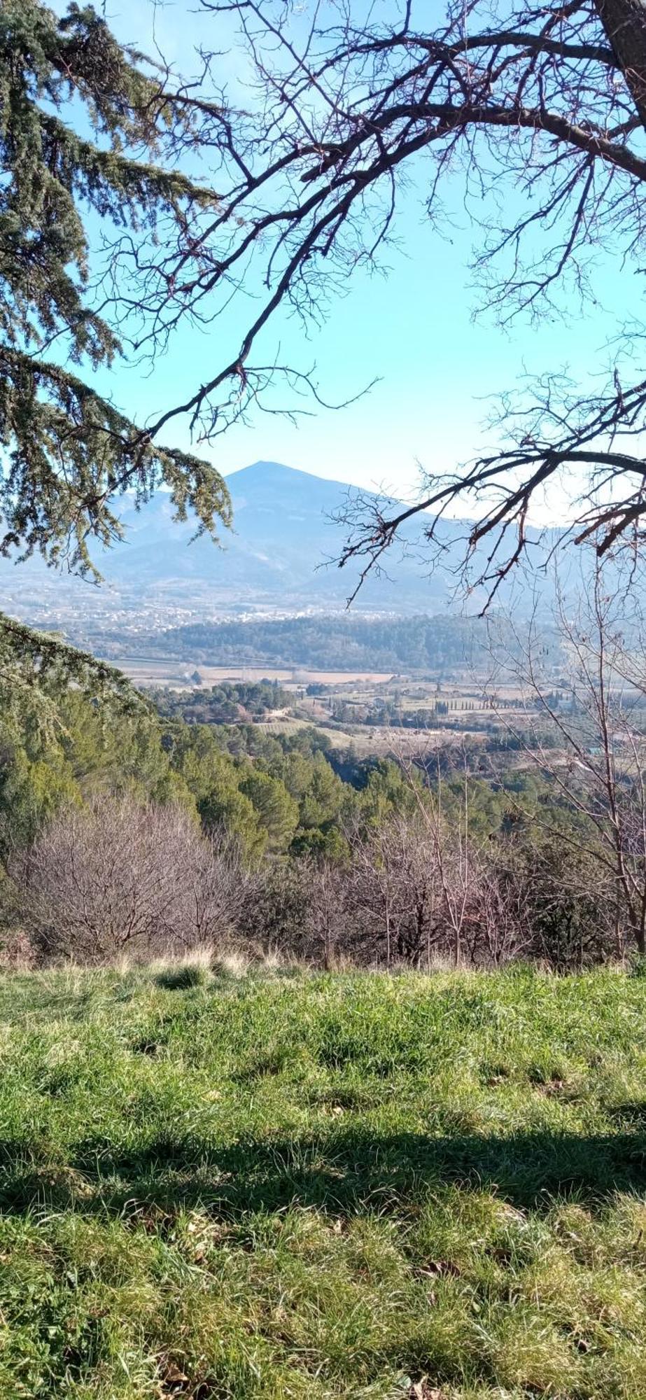 Studio Tout Confort En Provence Mont Ventoux. Bédoin Dış mekan fotoğraf