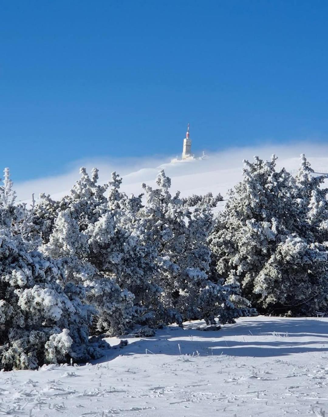 Studio Tout Confort En Provence Mont Ventoux. Bédoin Dış mekan fotoğraf