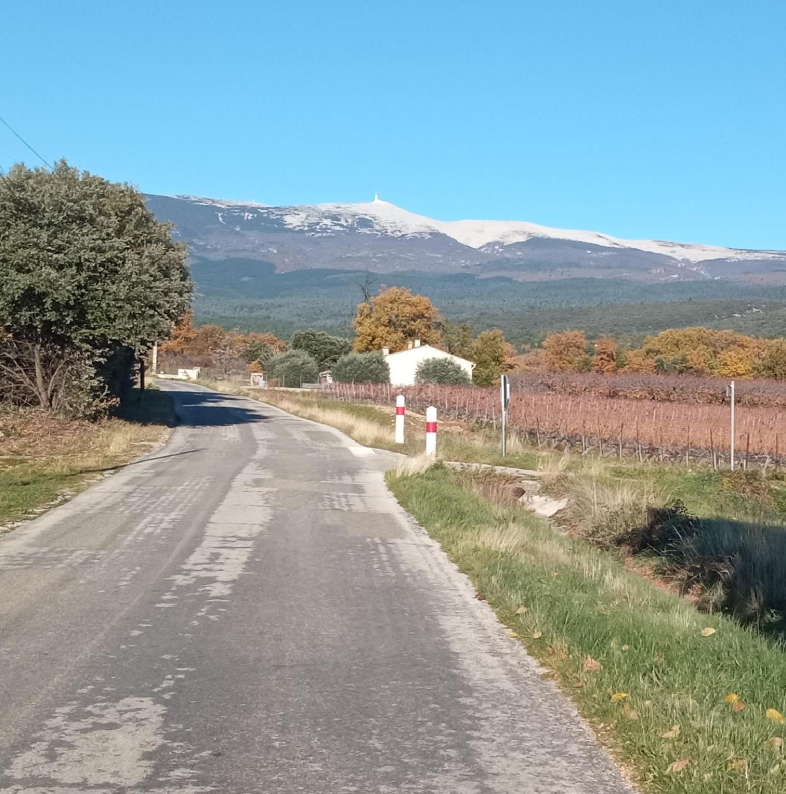Studio Tout Confort En Provence Mont Ventoux. Bédoin Dış mekan fotoğraf